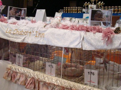 20121021_151 (Expo)